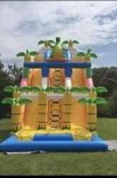 big 28' dino double lane waterslide.